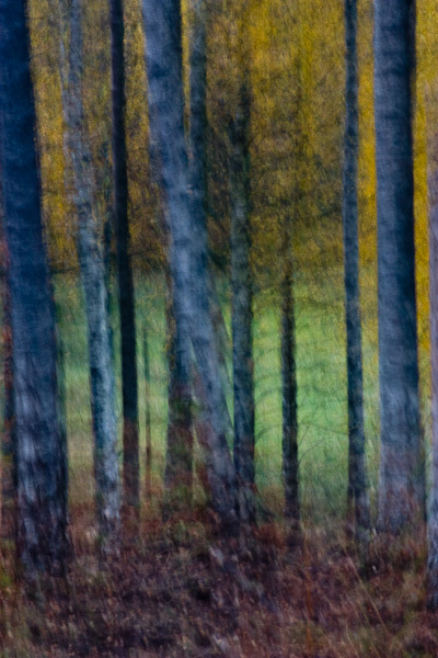 CRW_0705