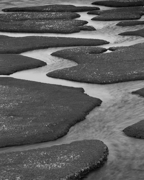 Harris_20080507_328