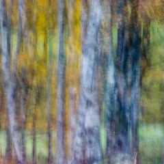 CRW_0683