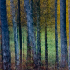 CRW_0705