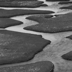 Harris_20080507_328