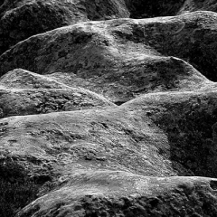 MG_0918