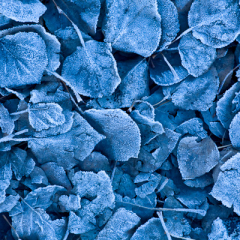 Montana_20071106_36_Edit