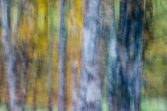 CRW_0683