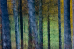CRW_0705