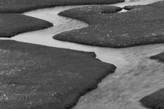 Harris_20080507_328