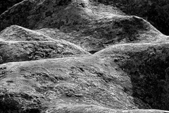 MG_0918