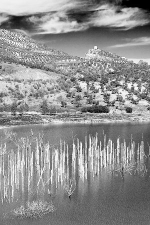Rhonda_countryside