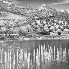 Rhonda_countryside