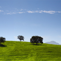 Rhonda_hillside