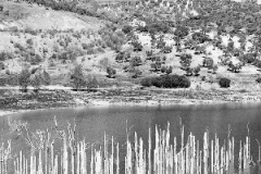 Rhonda_countryside