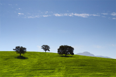 Rhonda_hillside