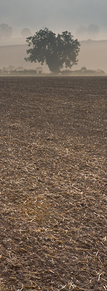 Hale_20071011_8_Edit