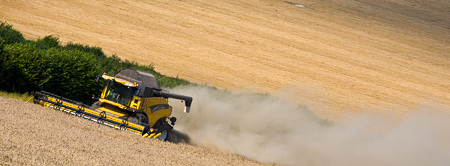 Harvest_30_Edit