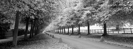 MG_1514PANBW