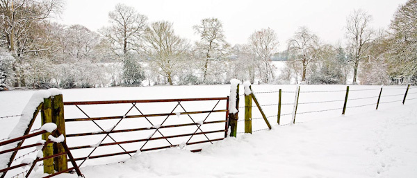 Snow_080207_0013PAN