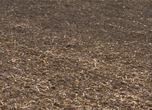Hale_20071011_8_Edit