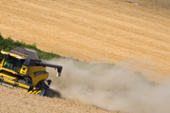 Harvest_30_Edit