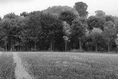 Image6