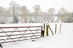 Snow_080207_0013PAN