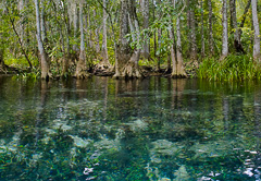 20070725__MG_1960_Edit