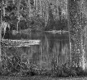Florida