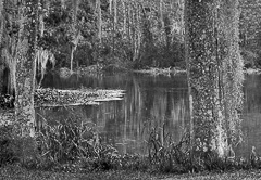 20070725__MG_2008_Edit