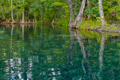 20070725__MG_1957_Edit_2_Edit