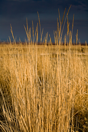 Montana_20071029_9