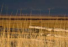 Montana_20071029_6