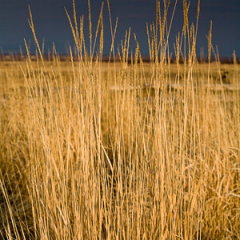 Montana_20071029_9