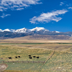 Montana_20071101_11_Edit_Edit