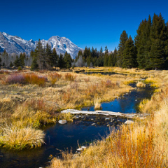 Montana_20071105_10