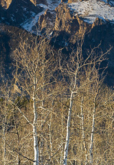 Montana_20071105_20_Edit