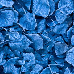 Montana_20071106_36_Edit