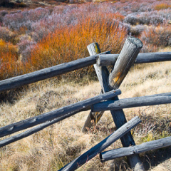 Montana_20071106_73_Edit