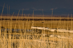Montana_20071029_6