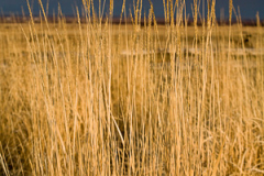 Montana_20071029_9