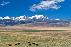 Montana_20071101_11_Edit_Edit