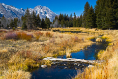 Montana_20071105_10