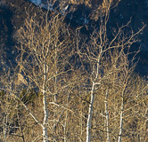 Montana_20071105_20_Edit