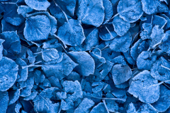 Montana_20071106_36_Edit