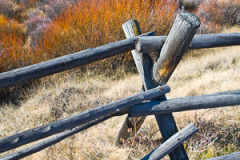 Montana_20071106_73_Edit