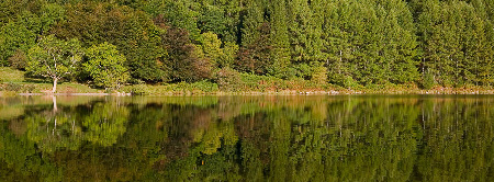 MG_1510PAN
