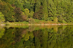 MG_1510PAN