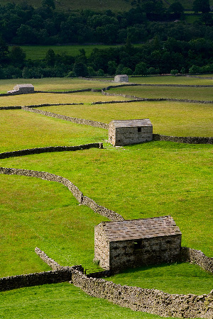 Gunnerside4