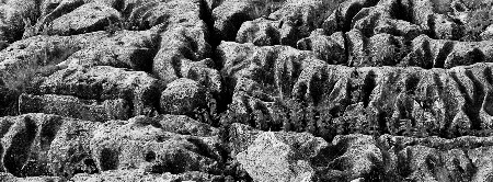 Limestone_Pavement_PAN