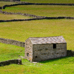 Gunnerside6