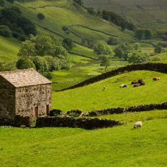 Swaledale_Barn1