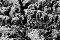Limestone_Pavement_PAN